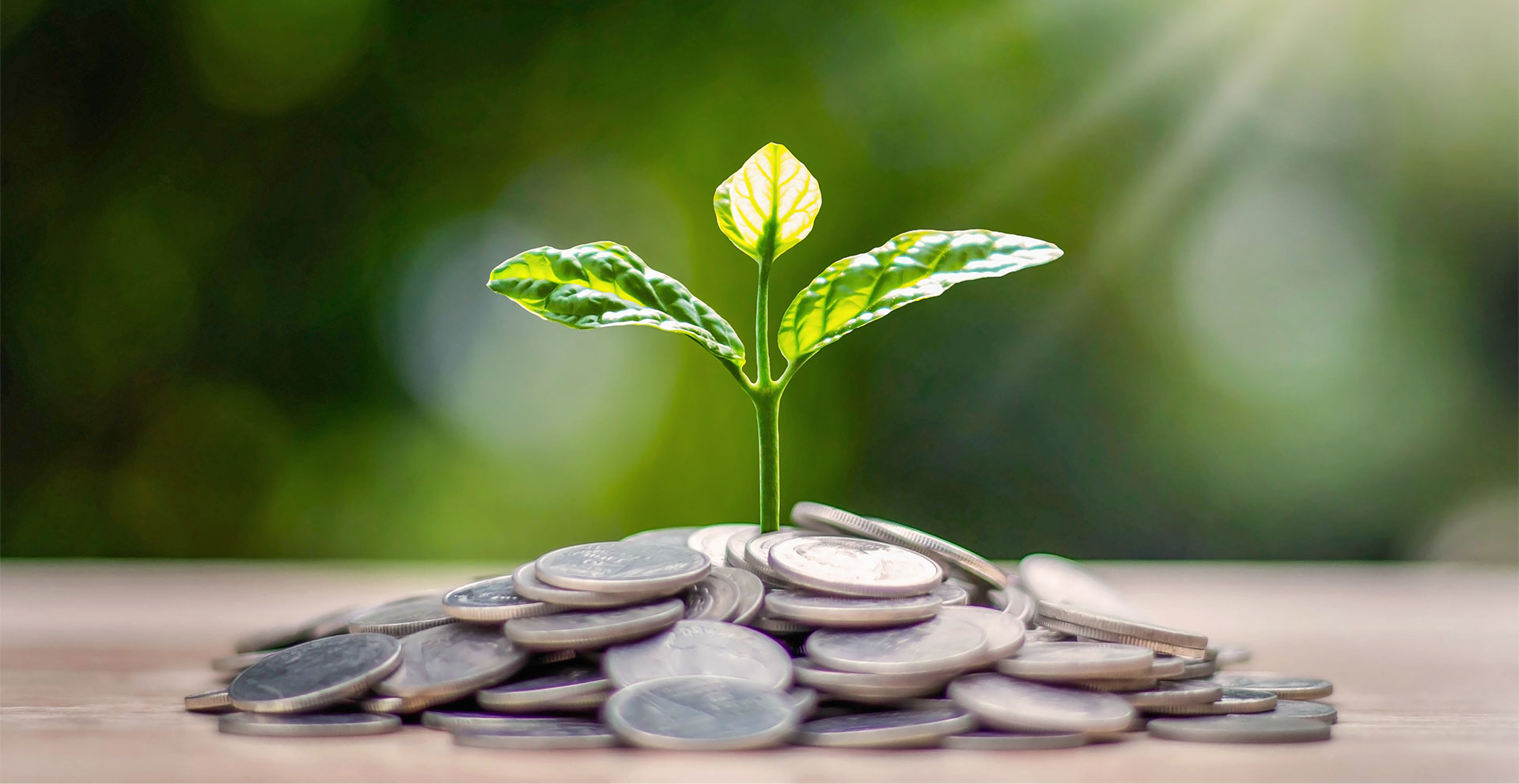 Trustbank Amanah Savings account